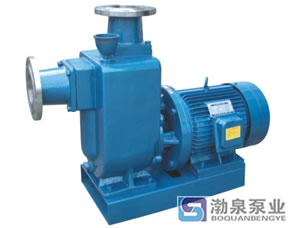 直聯(lián)式自吸無(wú)堵塞排污泵ZWL型