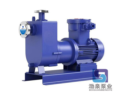 ZCQ100-80-160_不銹鋼自吸磁力泵