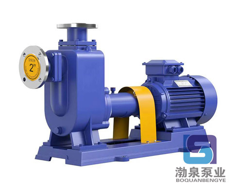 ZW150-180-38 自吸式化工排污泵