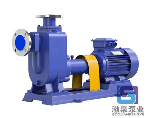 ZW200-280-28 化工耐腐蝕自吸排污泵